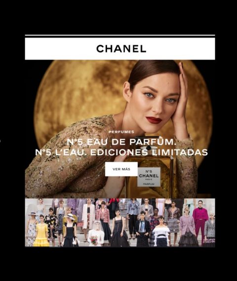imagen de la Página Web de la Empresa Chanel
